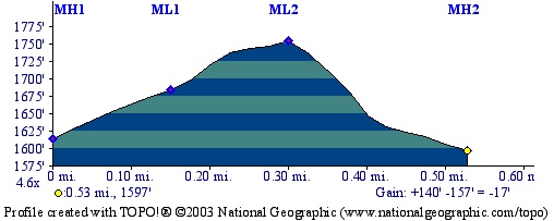 Morgan Loop Elevation